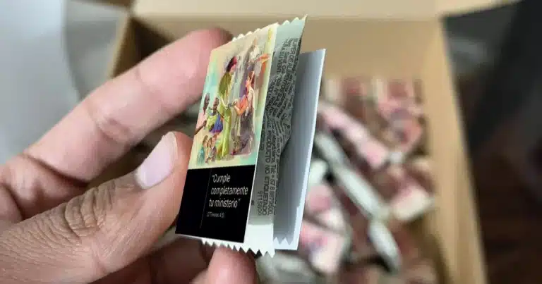 Mini libro precursores