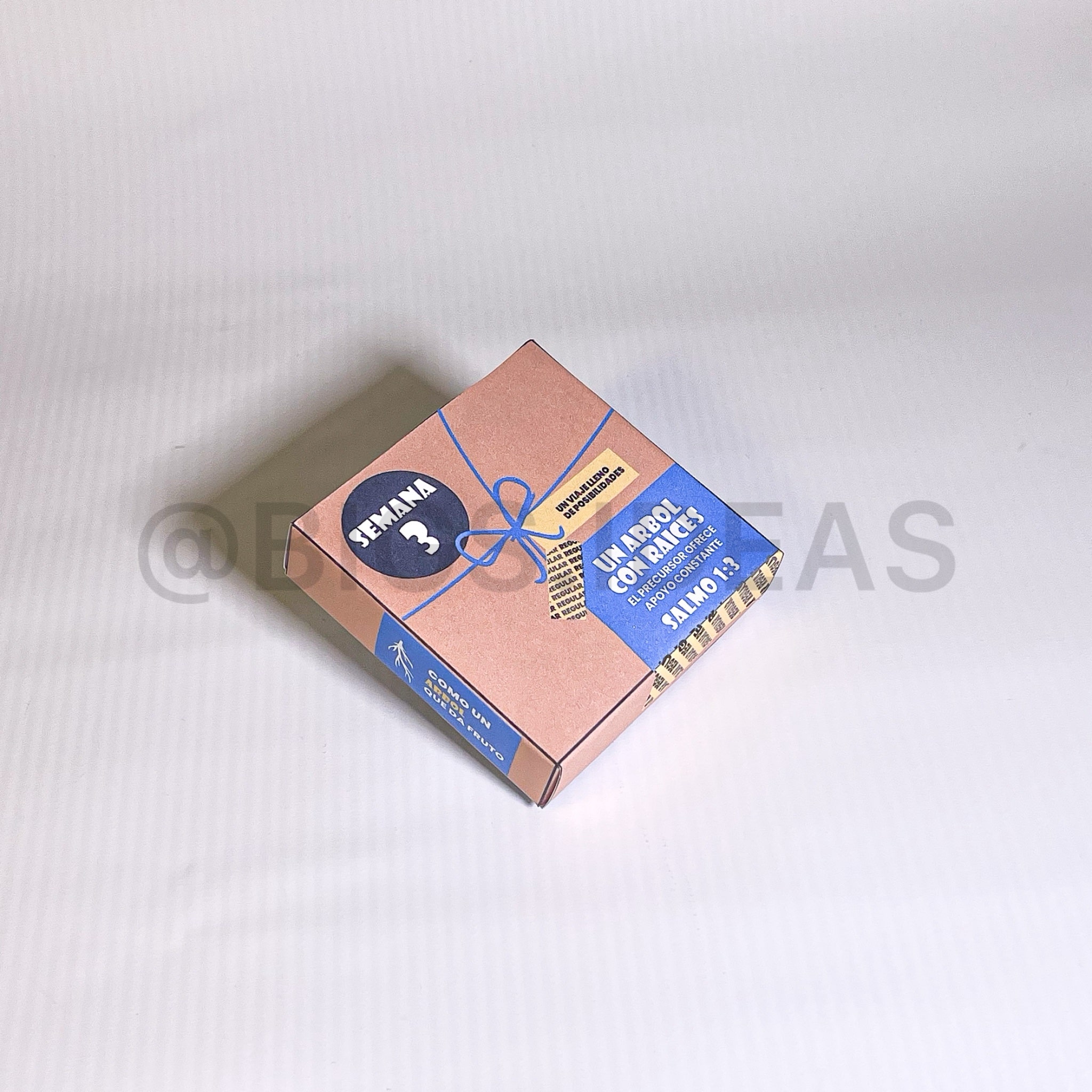 Caja por semana Escuela de Evangelizadores - Imagen 4